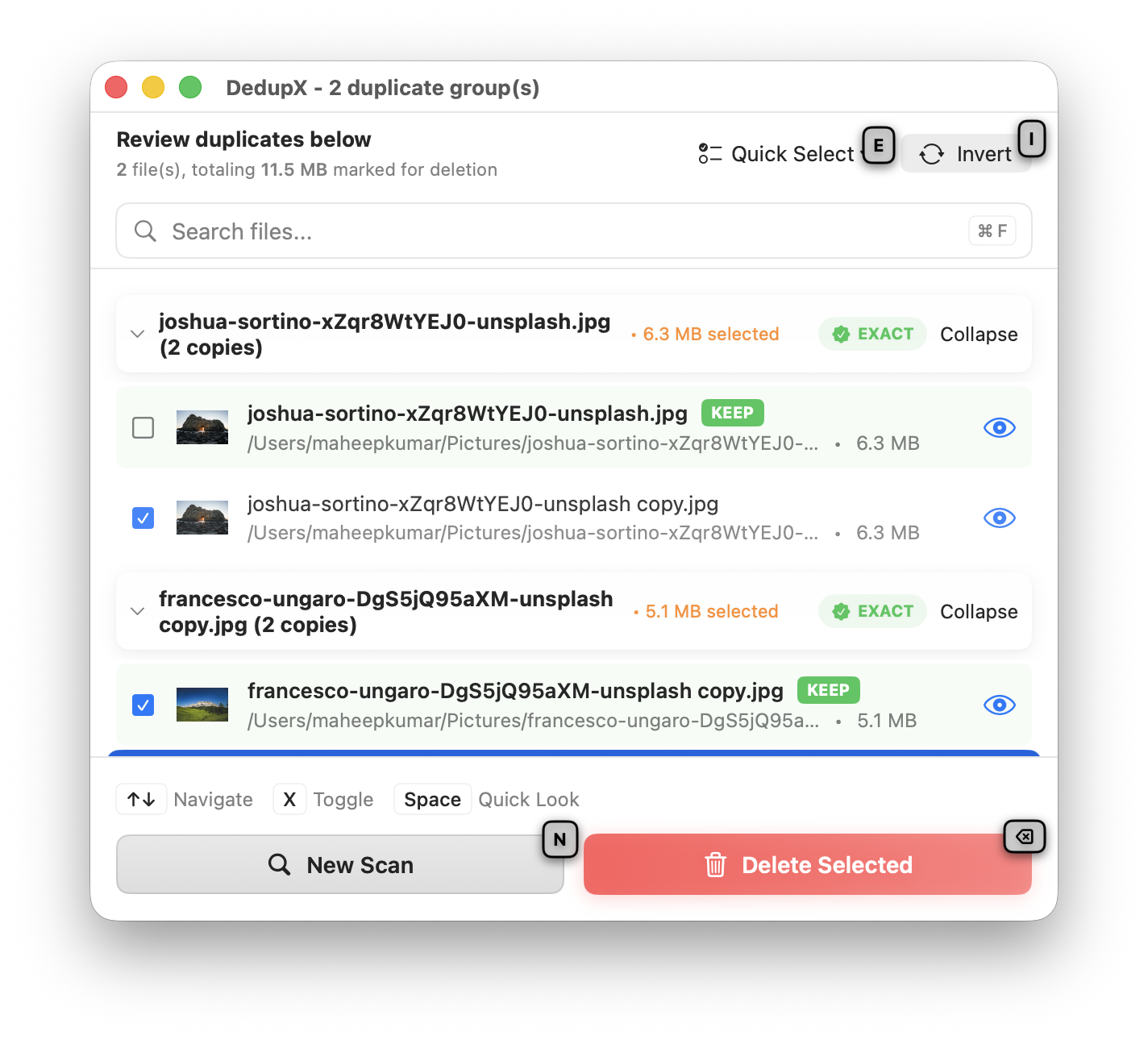 DedupX — Review duplicate groups