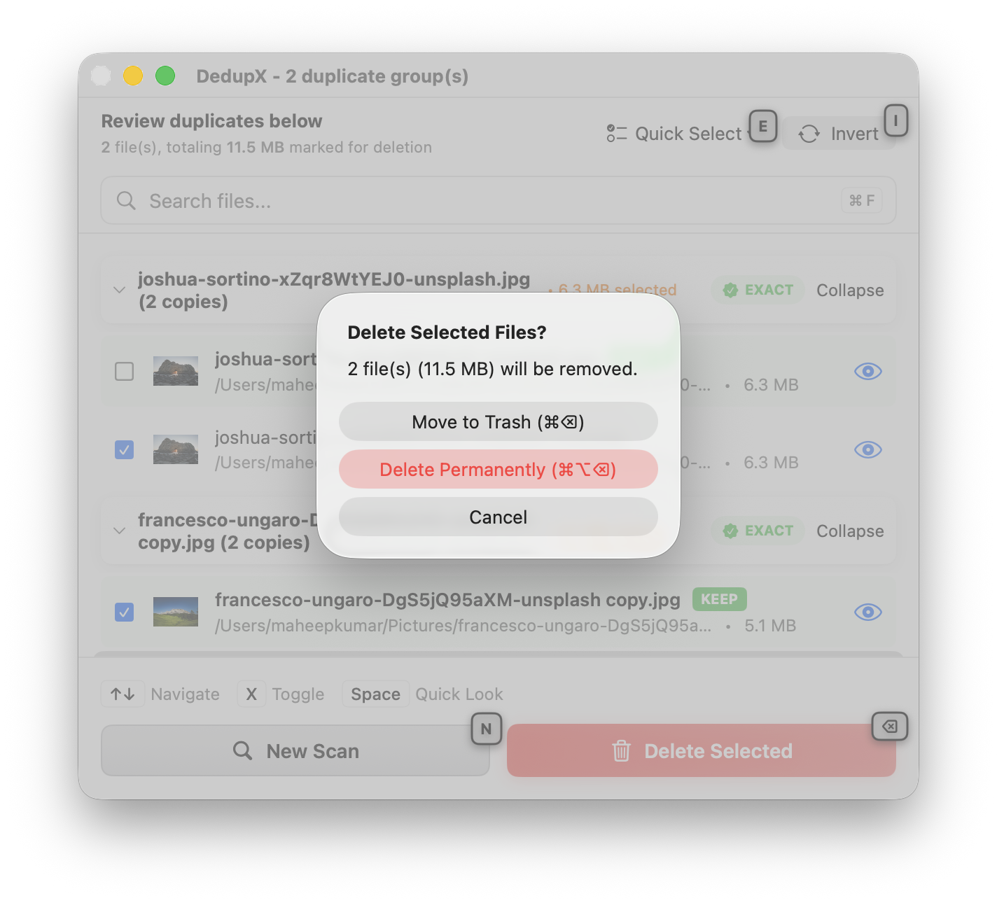 DedupX — Safe delete confirmation
